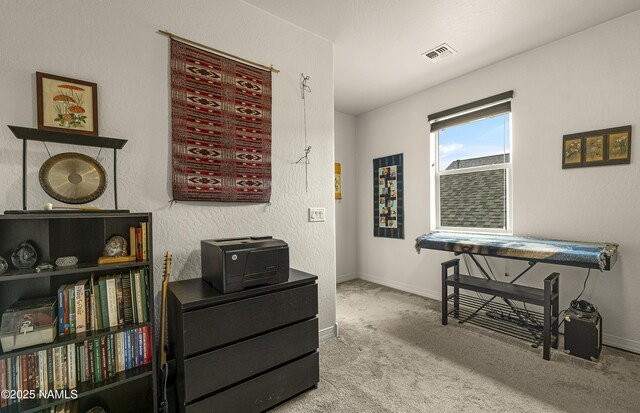 2410 W Cj Dr, Flagstaff, AZ 86001 - photo 22