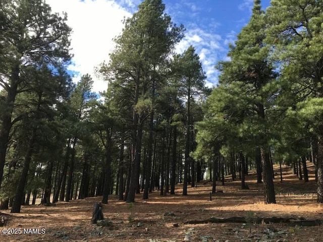 9245 Coyote Pass, Flagstaff AZ, 86001 land for sale