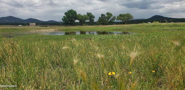 7764 E Old Route 66, Williams, AZ 86046