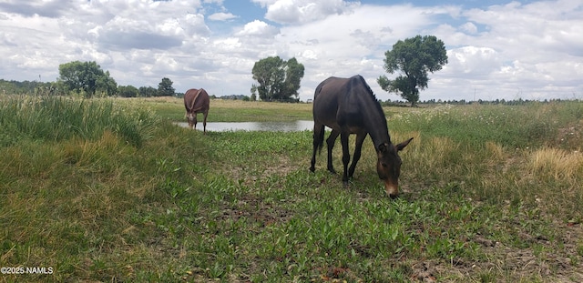 7764 E Old Route 66, Williams, AZ 86046