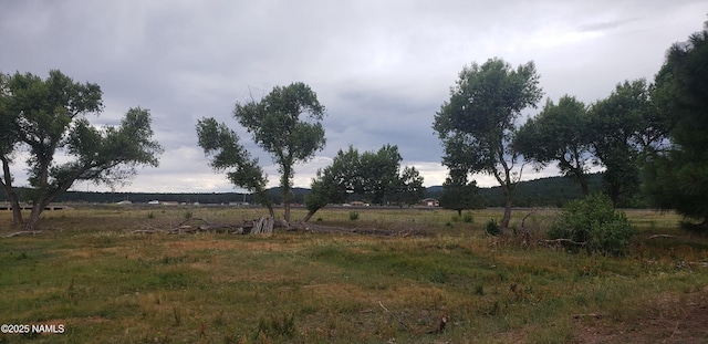 7764 E Old Route 66, Williams, AZ 86046
