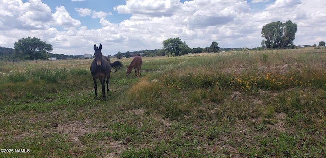 7764 E Old Route 66, Williams, AZ 86046