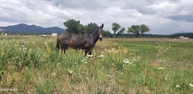 7764 E Old Route 66, Williams, AZ 86046