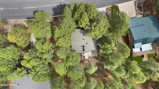 5241 E Mount Pleasant Dr, Flagstaff, AZ 86004 - aerial view of property's location