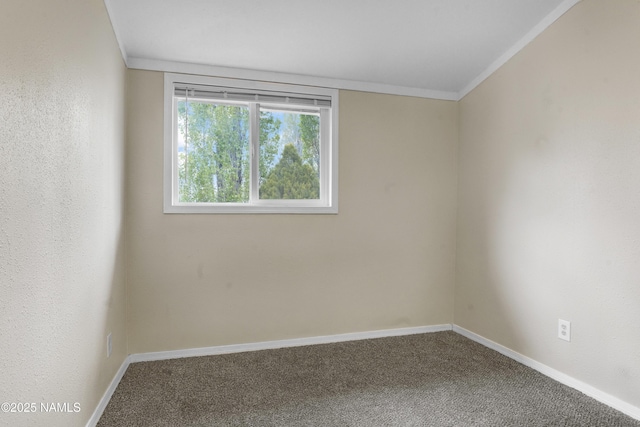 3580 N Jamison Blvd, Flagstaff, AZ 86004 - carpeted spare room featuring baseboards and ornamental molding