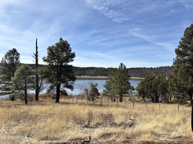 78 Lakeview Ct, Stoneman Lake, AZ 86038 - photo 13