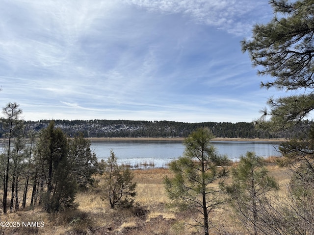 78 Lakeview Ct, Stoneman Lake, AZ 86038 - photo 12