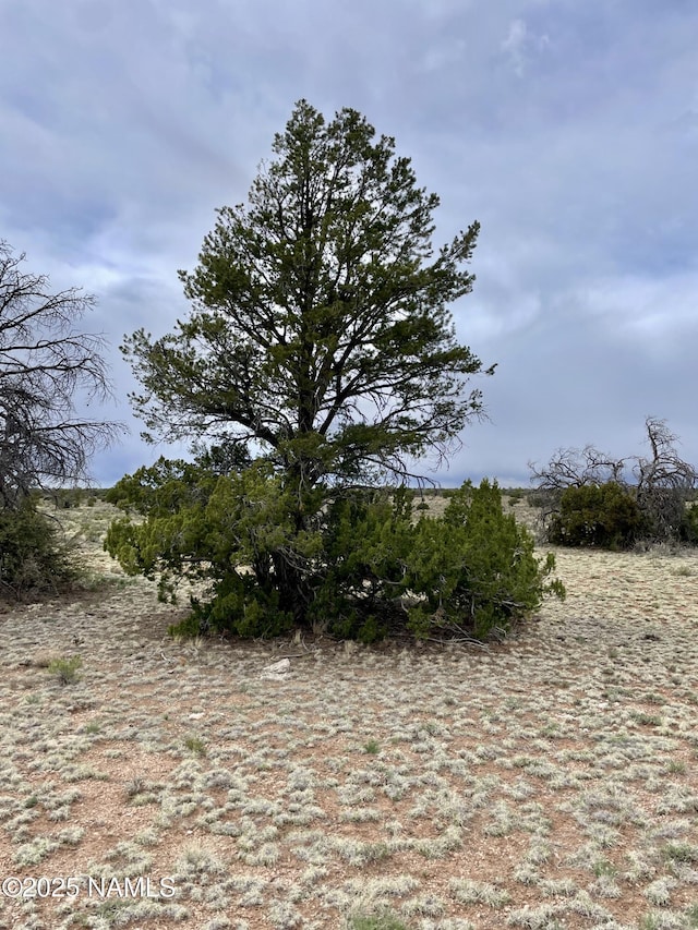 3998 Red Butte Rd, Williams, AZ 86046