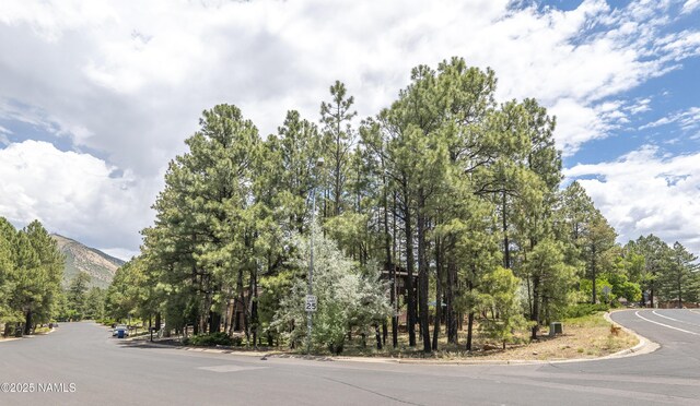 2000 N Rio De Flag Dr, Flagstaff, AZ 86004 - photo 36