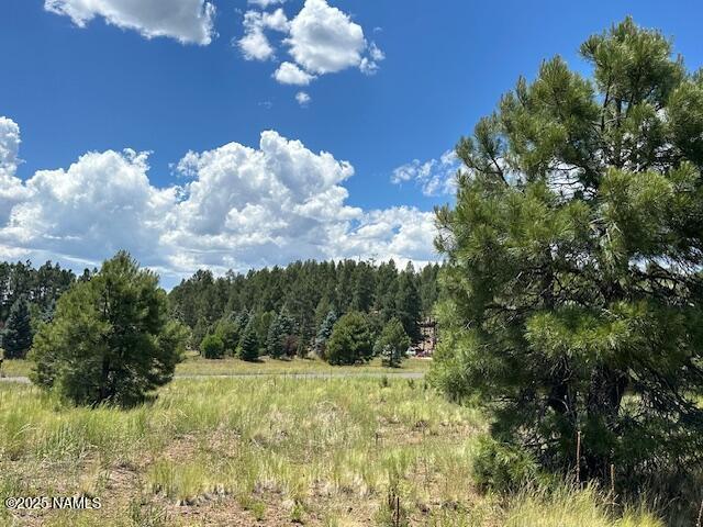 9250 N Snow Bowl Ranch Rd, Flagstaff, AZ 86001 - photo 11