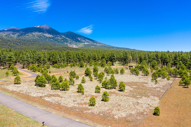 9250 N Snow Bowl Ranch Rd, Flagstaff, AZ 86001 - photo 8