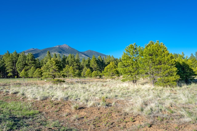 9250 N Snow Bowl Ranch Rd, Flagstaff, AZ 86001 - photo 2