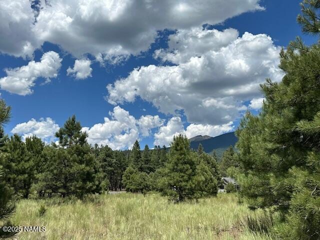 9250 N Snow Bowl Ranch Rd, Flagstaff, AZ 86001 - photo 5