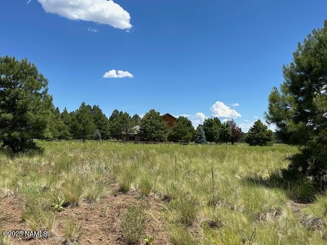 9250 N Snow Bowl Ranch Rd, Flagstaff, AZ 86001 - photo 16
