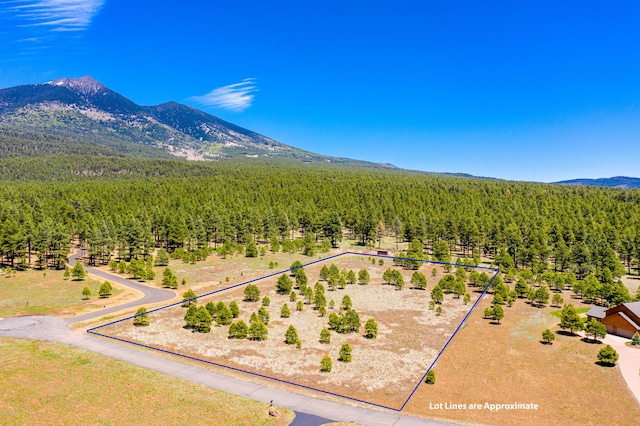 9250 N Snow Bowl Ranch Rd, Flagstaff, AZ 86001 - photo 3