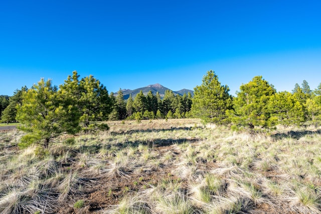 9250 N Snow Bowl Ranch Rd, Flagstaff, AZ 86001 - photo 9