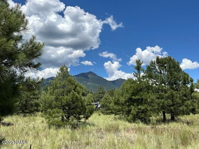 9250 N Snow Bowl Ranch Rd, Flagstaff, AZ 86001 - photo 1