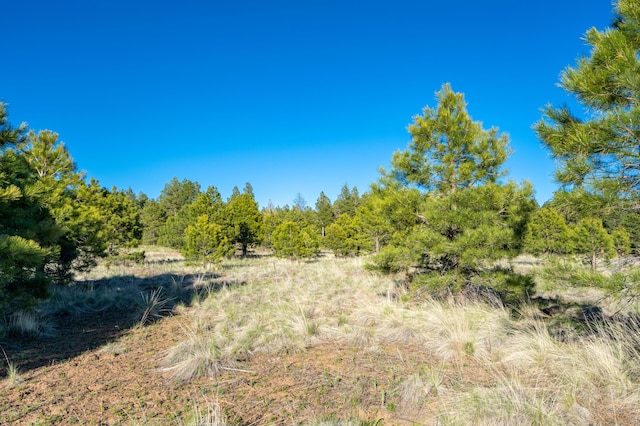9250 N Snow Bowl Ranch Rd, Flagstaff, AZ 86001 - photo 6