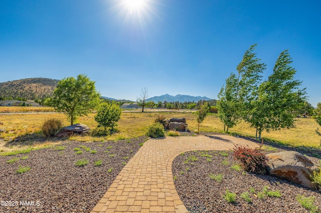 7507 Deville Ln, Flagstaff, AZ 86004 - view of yard featuring a mountain view