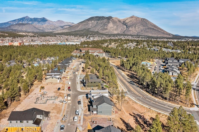 317 N Valerian Ln, Flagstaff, AZ 86004 - photo 5