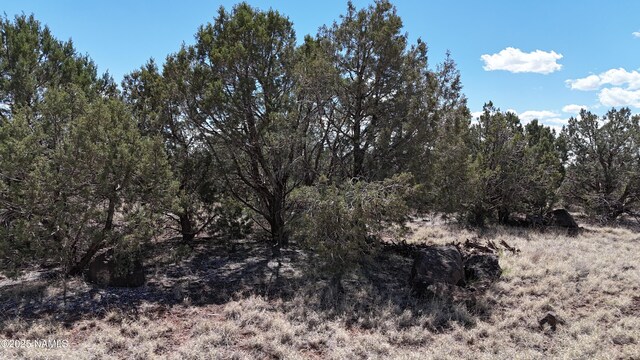 3288/3236 W Cumberland Rd, Williams, AZ 86046