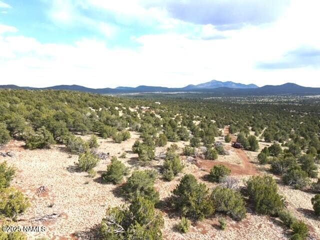 20202107C Honeysuckle Rd, Williams, AZ 86046