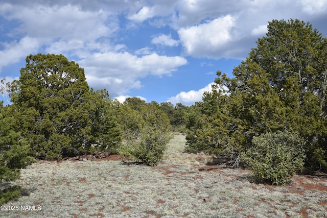 20202107C Honeysuckle Rd, Williams, AZ 86046
