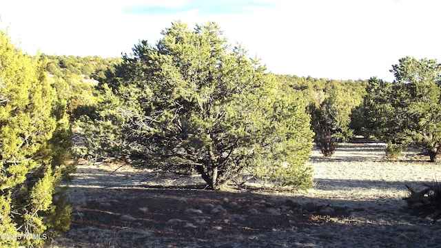 20202107C Honeysuckle Rd, Williams, AZ 86046