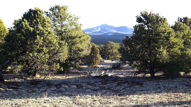 20202107C Honeysuckle Rd, Williams, AZ 86046