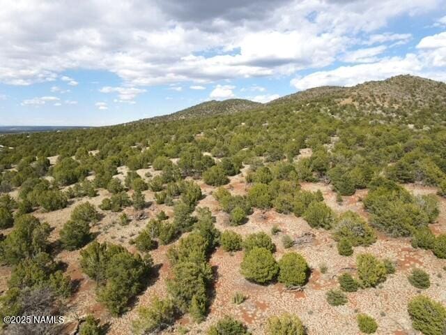 20202107C Honeysuckle Rd, Williams, AZ 86046