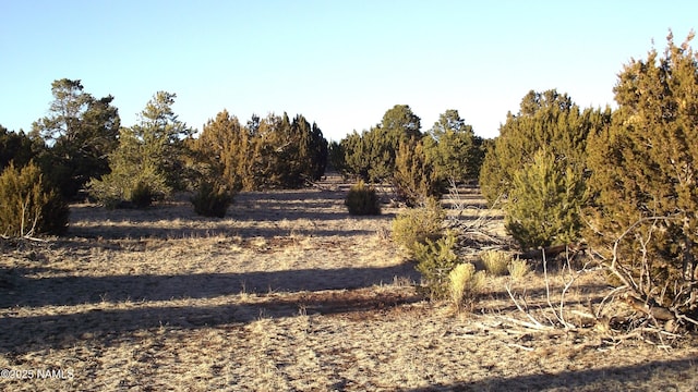20202107C Honeysuckle Rd, Williams, AZ 86046