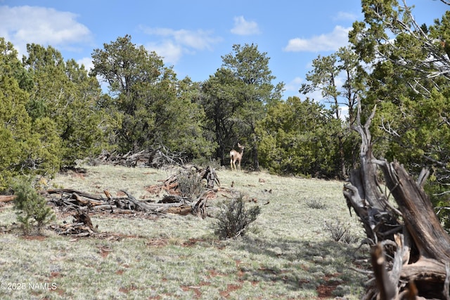 20202107C Honeysuckle Rd, Williams, AZ 86046