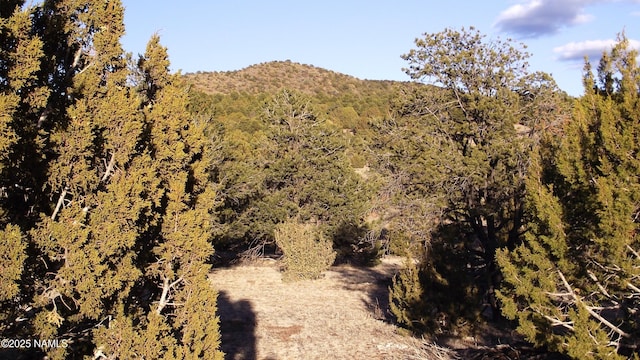 20202107C Honeysuckle Rd, Williams, AZ 86046