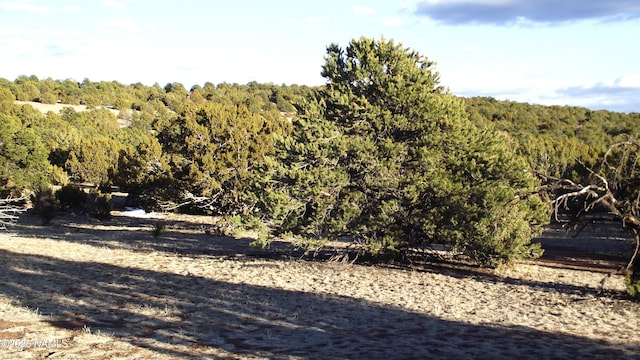 20202107C Honeysuckle Rd, Williams, AZ 86046