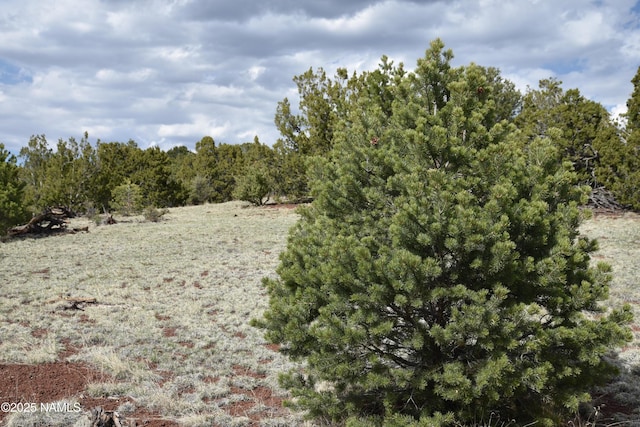 20202107C Honeysuckle Rd, Williams, AZ 86046