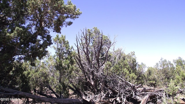 552 Stone Lake Blvd, Williams, AZ 86046
