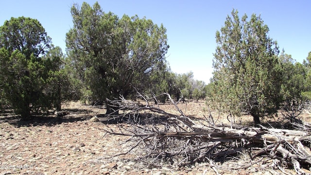 552 Stone Lake Blvd, Williams, AZ 86046