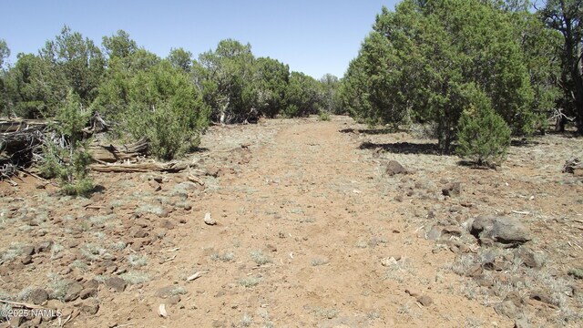 552 Stone Lake Blvd, Williams, AZ 86046
