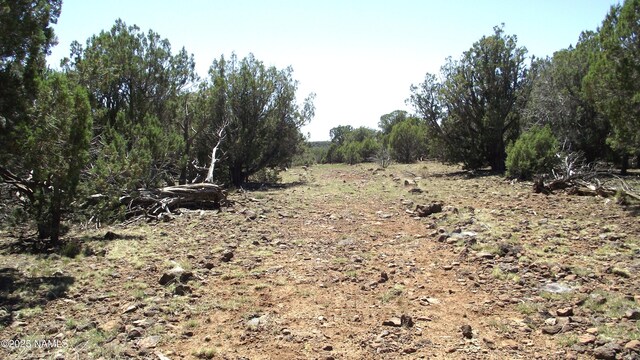 552 Stone Lake Blvd, Williams, AZ 86046