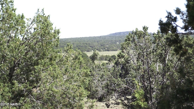 552 Stone Lake Blvd, Williams, AZ 86046