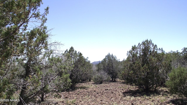552 Stone Lake Blvd, Williams, AZ 86046