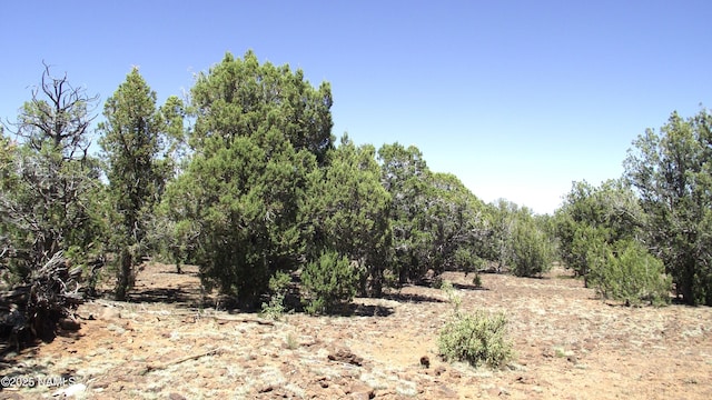 552 Stone Lake Blvd, Williams, AZ 86046