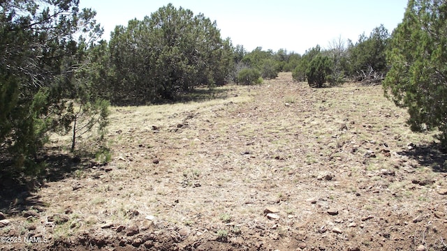 552 Stone Lake Blvd, Williams, AZ 86046