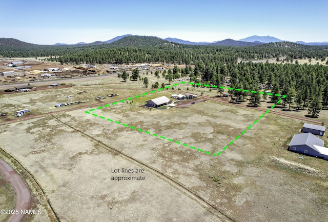 3095 E Pinetree Dr, Williams, AZ 86046 - view of mountain background