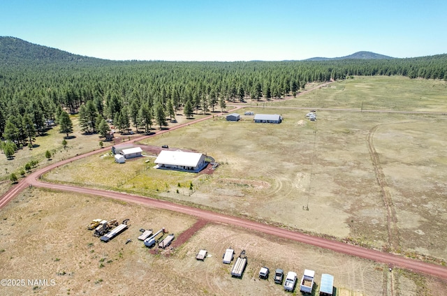 3095 E Pinetree Dr, Williams, AZ 86046 - view of rural area featuring a mountainous background