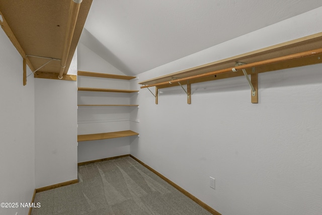 1470 W Melissa Dr, Flagstaff, AZ 86005 - spacious closet featuring carpet and lofted ceiling