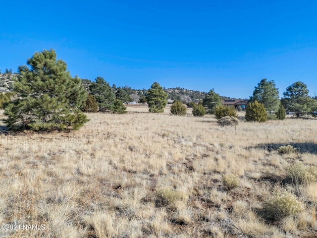 8170 Autumn Dr, Flagstaff, AZ 86004 - view of landscape featuring a rural view
