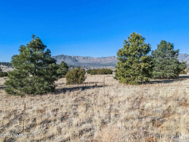 8170 Autumn Dr, Flagstaff, AZ 86004 - mountain view