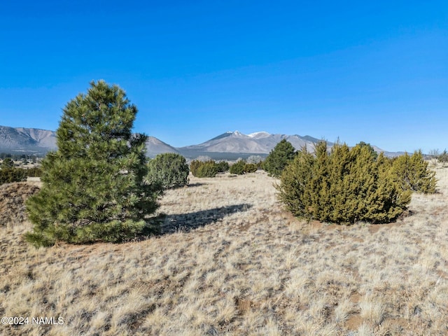 8170 Autumn Dr, Flagstaff, AZ 86004 - mountain view