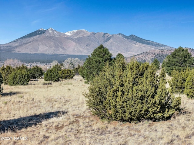 8170 Autumn Dr, Flagstaff, AZ 86004 - mountain view